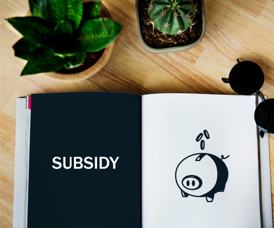 Open book on a wooden table with "SUBSIDY" on the left page and a piggy bank illustration with coins on the right. Nearby are green plants and a pair of black sunglasses.